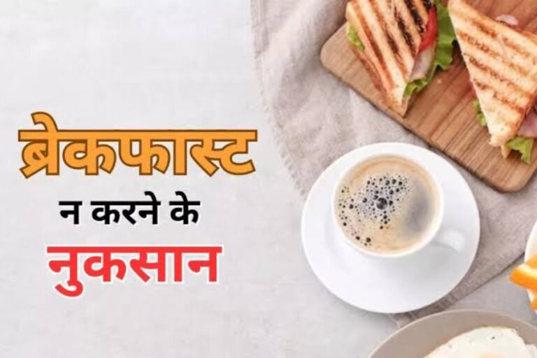 Health Tips: ब्रेकफास्ट नहीं करने से शरीर को होते हैं ये गंभीर नुकसान, ब्रेकफास्ट स्कीप करने से पहले जान ले ये जरूरी बातें