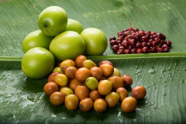 Health Benefits Of Ber: वेट लॉस सहित त्वचा को ग्लोइंग बनाने में भी फायदेमंद है बेर, जानिए बेर खाने के फायदे