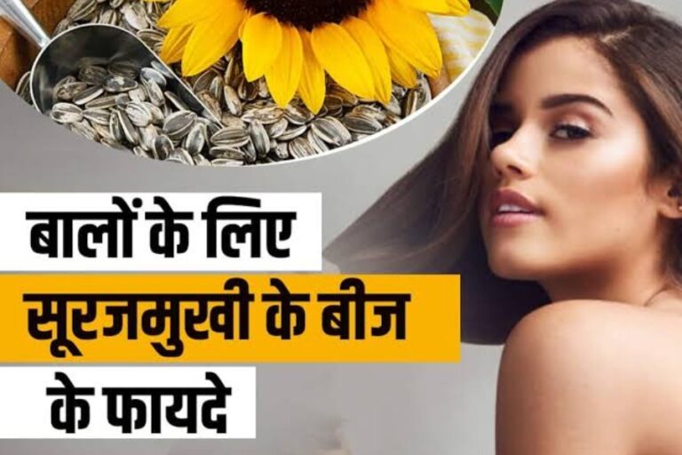 Sunflower Seeds: बालों में जान डाल देता है इस फूल का बीज, सेहत से जुड़ी कई परेशानियों को करता है दूर