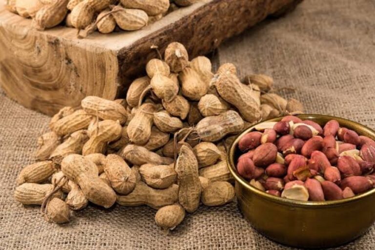 Boiled Groundnuts Benefits: शरीर के लिए अमृत के समान है उबला हुआ मूंगफली, खाने से मिलते हैं ये 5 फायदे