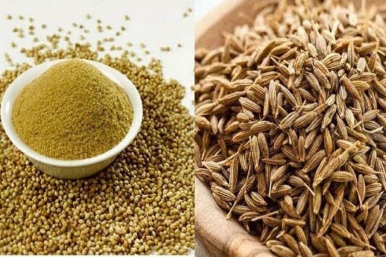 Coriander Cumin Water Benefits: ये 2 मसाले हैं 100 बीमारियों का इलाज, इसका कांबिनेशन पाचन तंत्र को रखता है ठीक