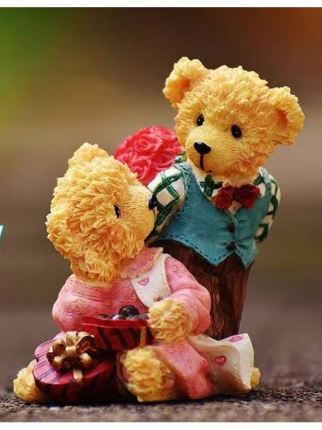 TEDDY4