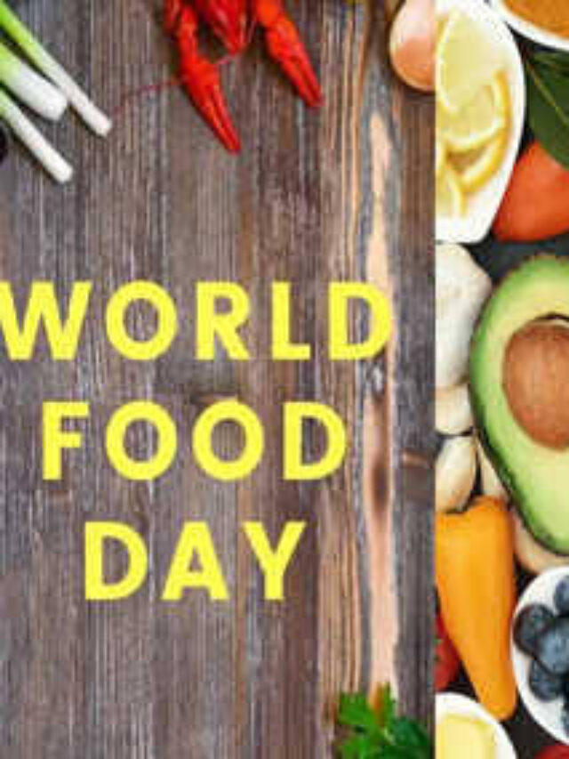 World Protein Day 2024