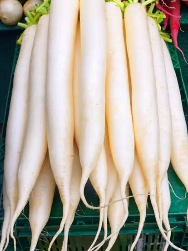 Radish Side Effects