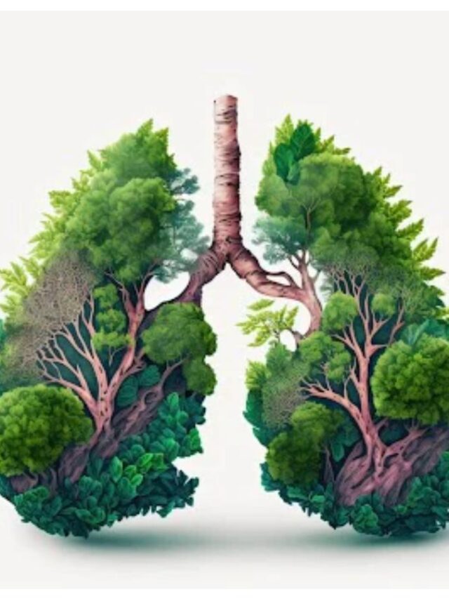 lungs9