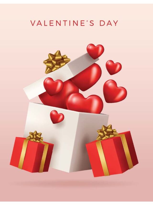 vgift8