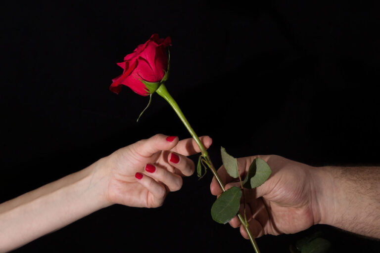 Valentine Day: जानिए Rose Day पर किसे दें कौन-से रंग का गुलाब