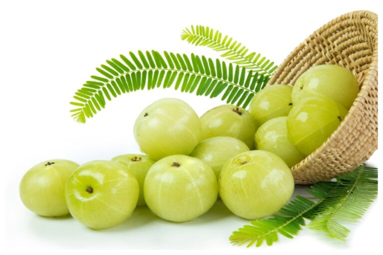 Amla Eating Benefits: आंवला खाने से आपकी सेहत को मिलेंगे ये अचूक फायदें, आप भी जानें