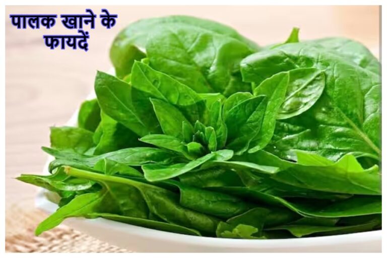 Benefits Of Spinach: बीपी कंट्रोल, इम्यूनिटी बूस्ट समेत  पालक खाने के है ये 8 फायदे, नियमित करे इसका सेवन