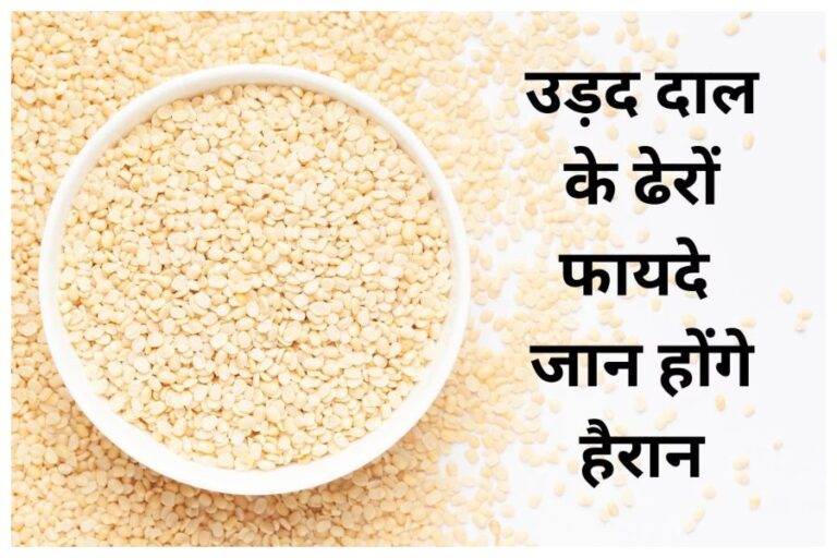 Urad Ki Daal Benefits: प्रोटीन से भरपूर उड़द की दाल खाने से सेहत को मिलेंगे ये अचूक फायदें, पाचन दुरूस्त से लेकर हड्डियों को मजबूती तक