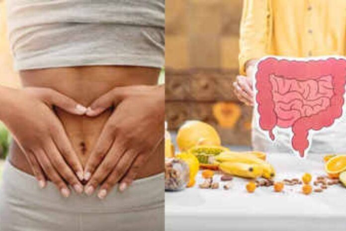 Foods For Gut Health