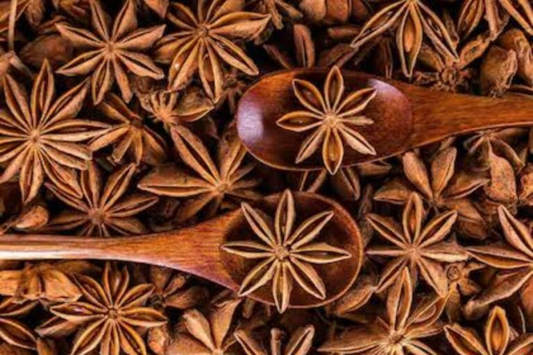 Star Anise Benefits: गठिया सहित इन बीमारियों को दूर करने में मदद करता है चक्र फूल, जानिए इसके फायदे