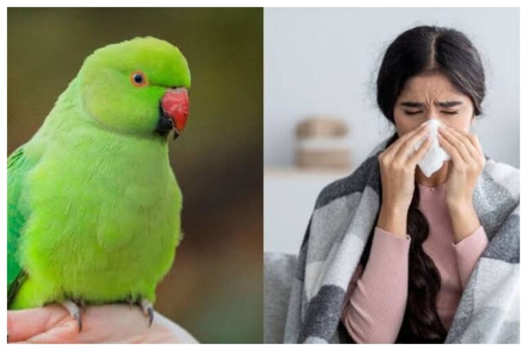 Parrot Fever: तेजी से फैल रहा है पैरेट फीवर, 5 लोगों की गई जान, जानिए कैसे फैलती है यह बीमारी