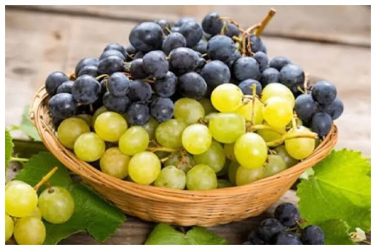 Health Alert: बिना धोए अगर आप खाते हैं अंगूर तो हो जाएं सावधान, सेहत को हो सकते हैं ये बड़े नुकसान
