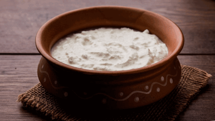 Curd Benefits in Summer