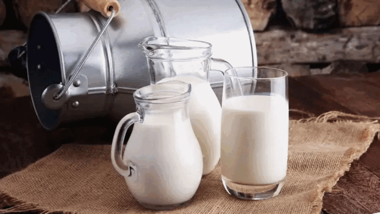 Buffalo milk Benefits