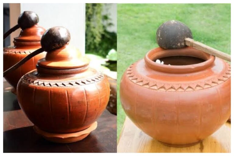 Mistakes While Drinking Matka Water: मटके का पानी पीते समय ना करे यह गलतियां, सेहत को हो सकता है नुकसान