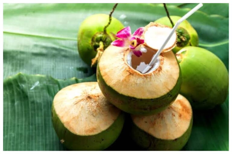 नारियल का पानी ही नहीं उसका मलाई भी होता है बेहद फायदेमंद,  इन बीमारियों को करता है दूर