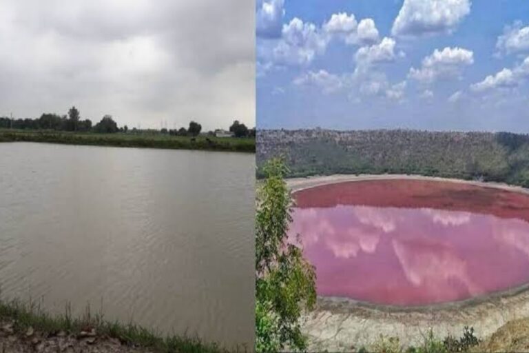 Trending News: इस तालाब को माना जाता है शापित,  यहां की मछलियां खाते ही मर जाते हैं लोग
