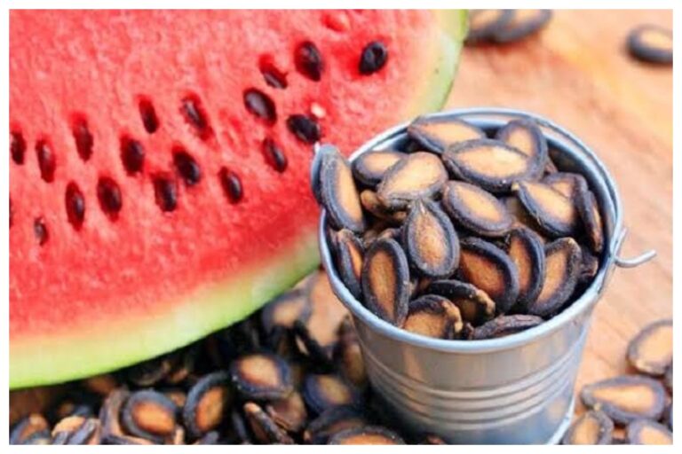 Watermelon Seeds: सिर्फ तरबूज ही नहीं इसके बीज भी होते हैं पोषक तत्वों से भरपूर,इन बीमारियों को करते हैं कंट्रोल