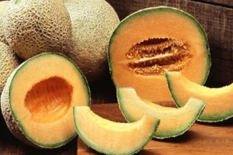 अमृत के समान होता है गर्मियों में मिलने वाला यह फल, इसमें कूट-कूट कर भरे हैं फाइबर और विटामिन सी