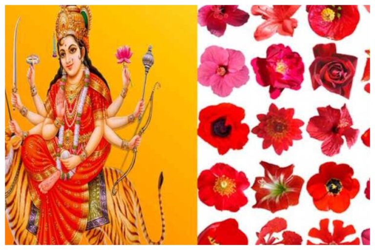 Chaitra Navratri: चैत्र नवरात्रि में मां दुर्गा को रोजाना चढ़ाई यह खास फुल, शास्त्रों में है इसका वर्णन