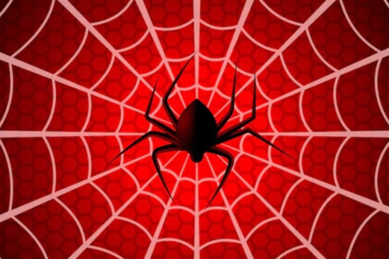 घर में मकड़ी का जाल होना शुभ होता है या अशुभ, जानिए है क्या कहता है वास्तु शास्त्र?