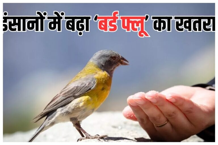 इंसानों को भी होने लगा है बर्ड फ्लू, टेक्सस में मिला पहला केस, जानिए क्या है मामला