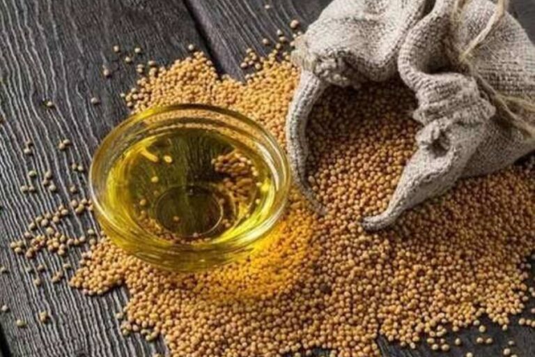 सरसों के तेल से किया गया एक छोटा सा उपाय बदल देगा आपकी किस्मत, घर में आएगी बरकत 