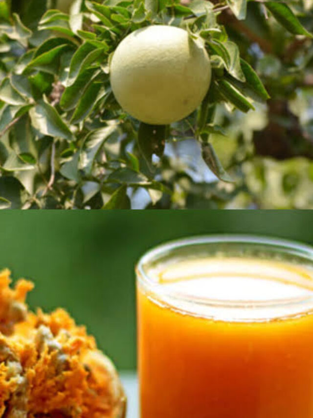Bael Juice Benefits: