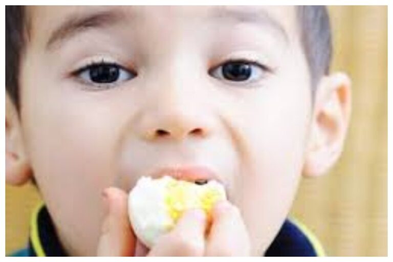 Eggs In Summer: गर्मियों में अंडा खाएं या ना खाएं, जानें यहां फायदा या क्या है इसके नुकसान?