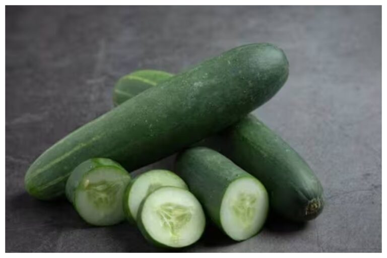 Kheera Side Effects : रात में खीरा खाना बन सकता है बड़े नुकसान की वजह? आप ना करें ऐसी गलती