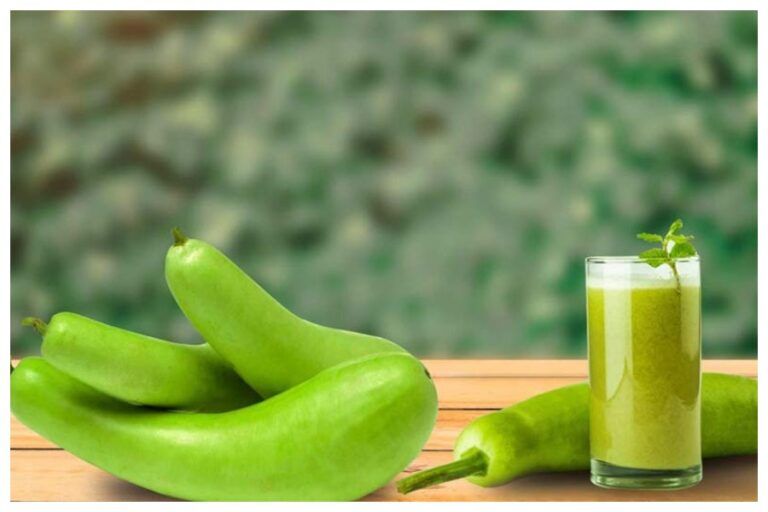 Bottle Gourd Juice: इम्यूनिटी बूस्ट, वेट लॉस समेत लौकी के जूस पीने के ये हैं शानदार फायदे