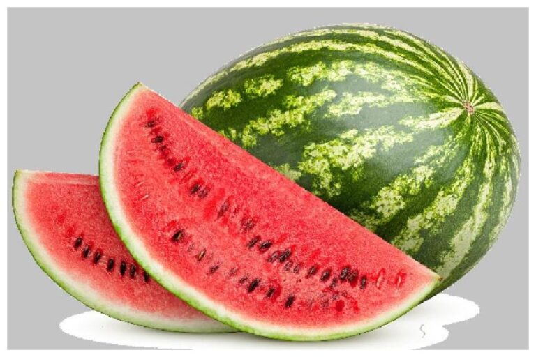 Watermelon Eating Benefits: हर दिन तरबूज खाना कितना फायदेमंद ? आप भी जानें इसके फायदे