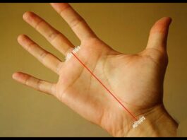 Palmistry