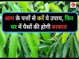 Vastu Tips