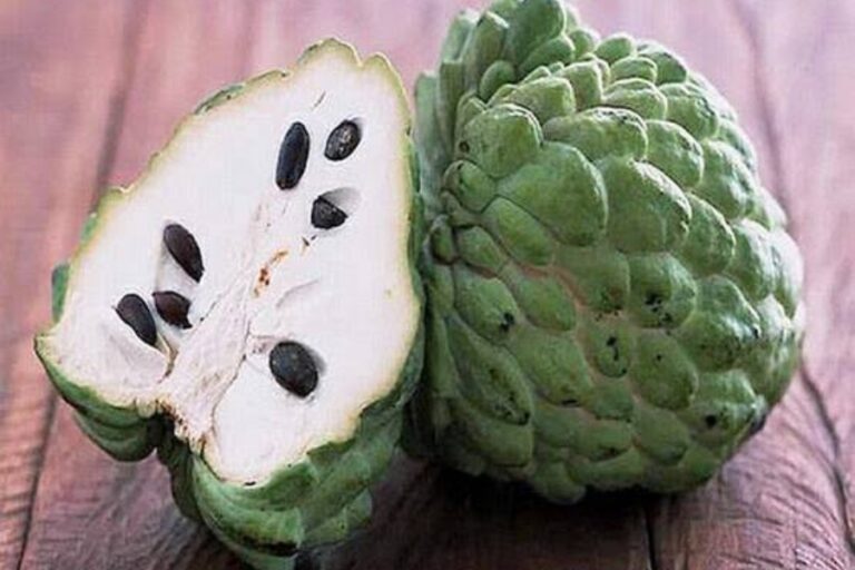 Benefits of Custard Apple
