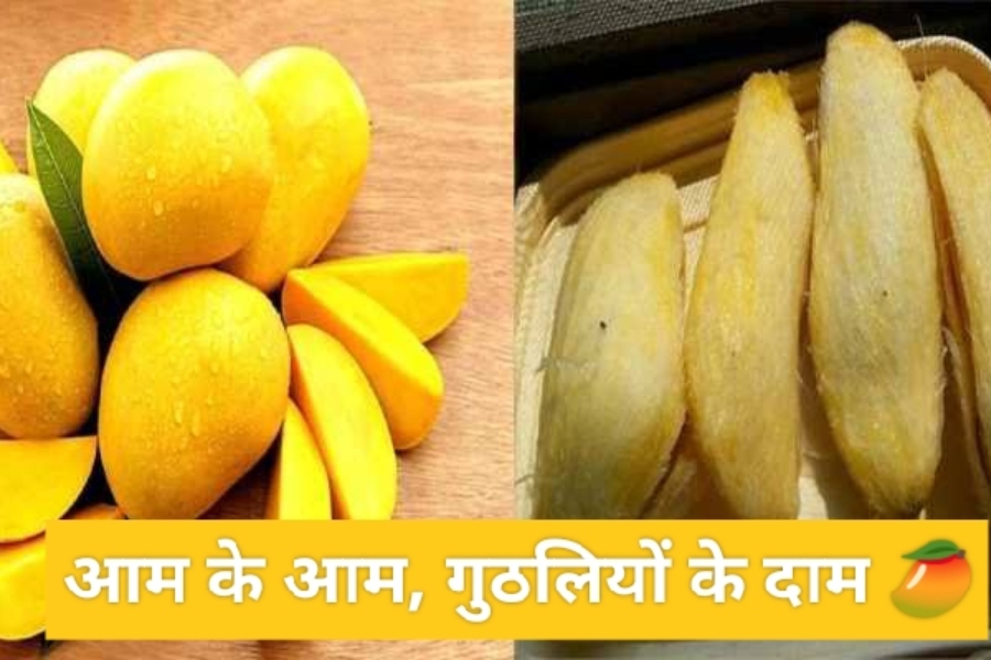 Mango Seeds Benefits