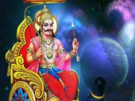 Shani Vakri 2024