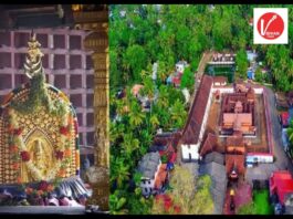Trivendrapuram Krishna Temple