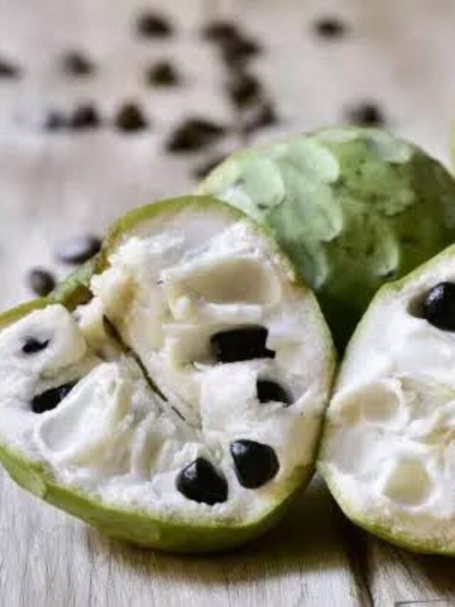 Custard Apple Benefits