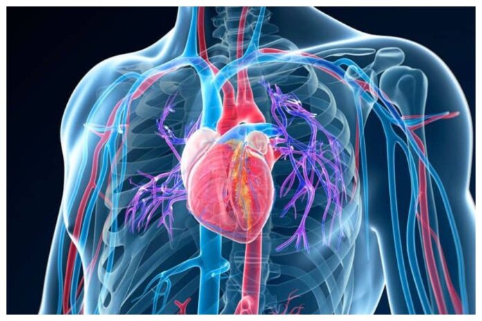 Blockage In Body