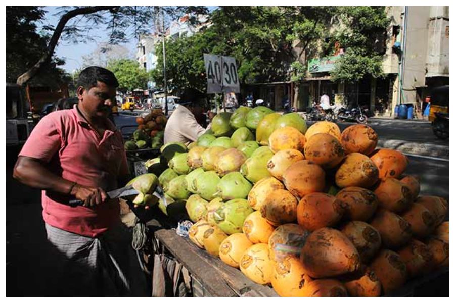Coconut Water