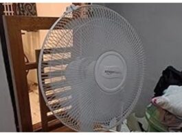 Fan Cool Breeze
