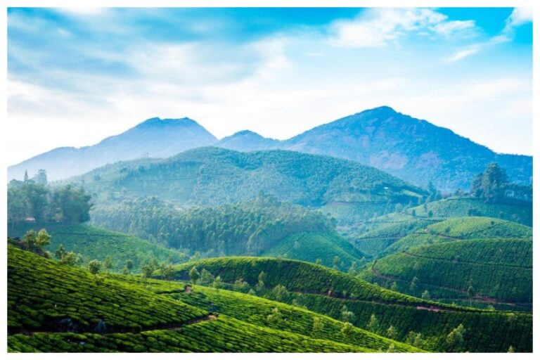 Weekened Tour For Hill Stations: शनिवार-रविवार जाएं इन हिल स्टेशन पर, दो दिन में घूम आएंगे पूरा ट्रिप
