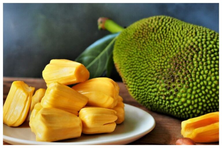 Jackfruit Benefits: कटहल खाना सेहत के लिए है रामबाण, जानें इसके सेवन से होने वाले फायदें