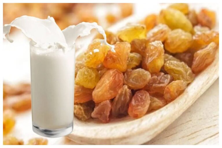 Raisins Milk: किशमिश दूध में भिगोकर खाएंगे तो मिलेंगे इतने फायदे