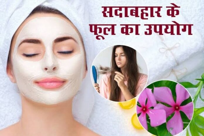 Benefits of Periwinkle Flowers