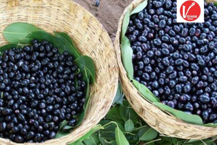 Blackberry Benefits Blackberry Benefits