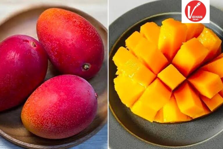 Most Expensive Mango